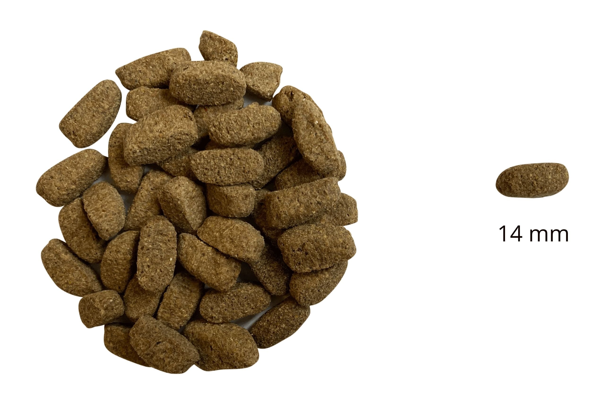 Ted Dry Dog Food with lamb and rice - Image 2